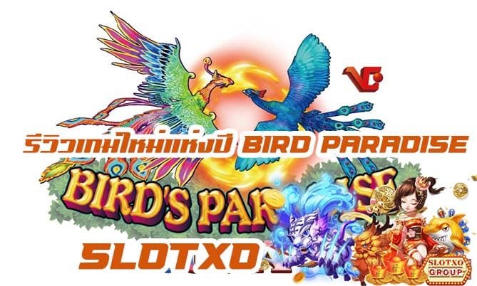 รีวิวเกมสล็อต Bird Paradise-Flying Squirrels 2021