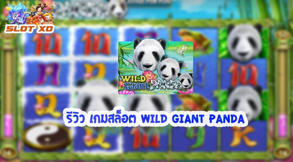รีวิวเกมสล็อต Wild Giant Panda 2021